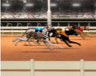 Greyhound racing bank ingyen játék